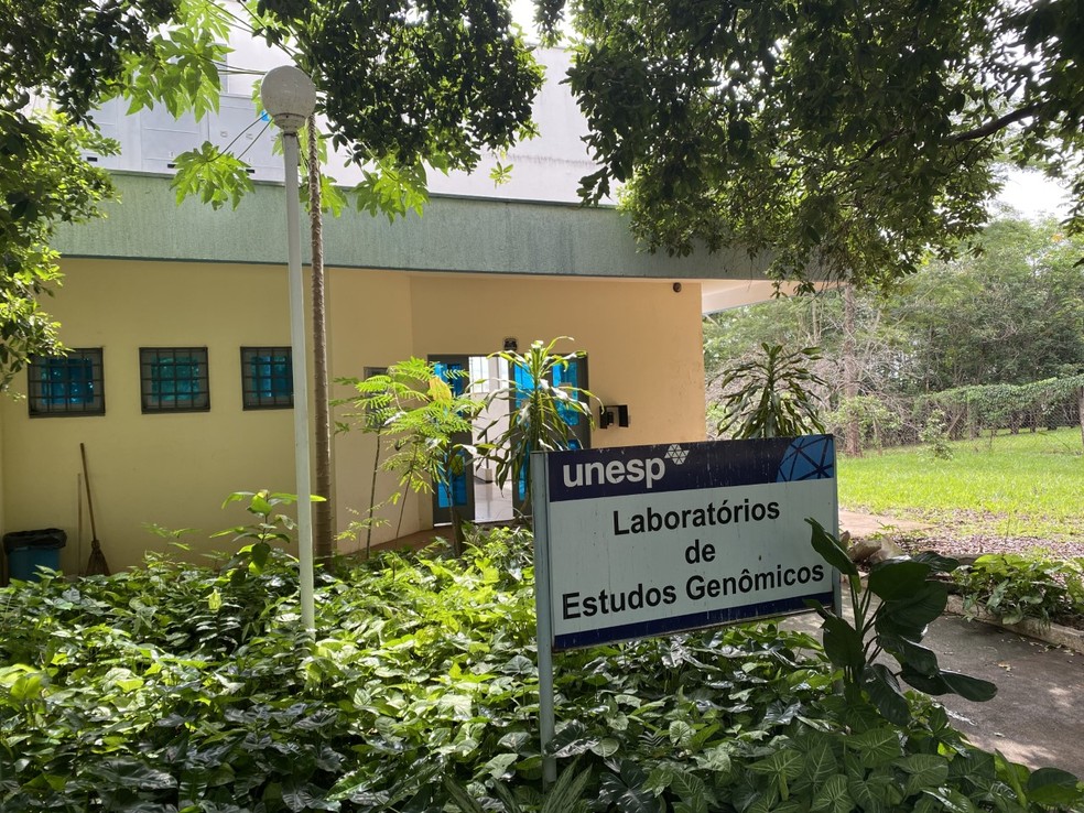 Laboratórios de Estudos Genômicos da Unesp de Rio Preto  — Foto: Renato Pavarino/g1
