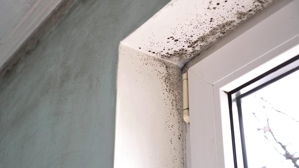 Tire O Mofo Da Casa De Praia Tendencias E Inspiracoes G1 Coloque 1 litro de água sanitária em um recipiente no vídeo é perceptível que a mancha estava forte, mas que foi removida. tire o mofo da casa de praia