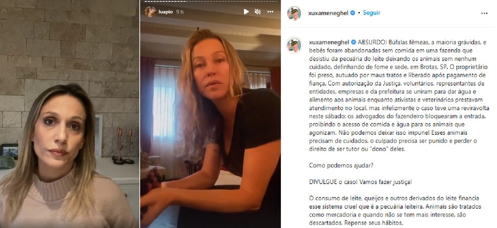 Luísa Mell, Luana Piovani e Xuxa protestam contra búfalos encontrados em situação de maus-tratos em Brotas — Foto: Reprodução/Instagram
