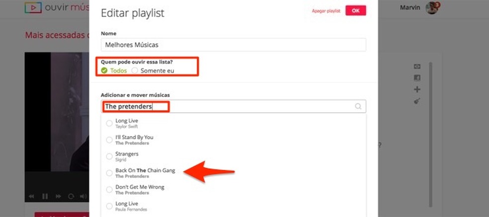 Opções para configurar uma playlist no serviço online Ouvir Música — Foto: Reprodução/Marvin Costa