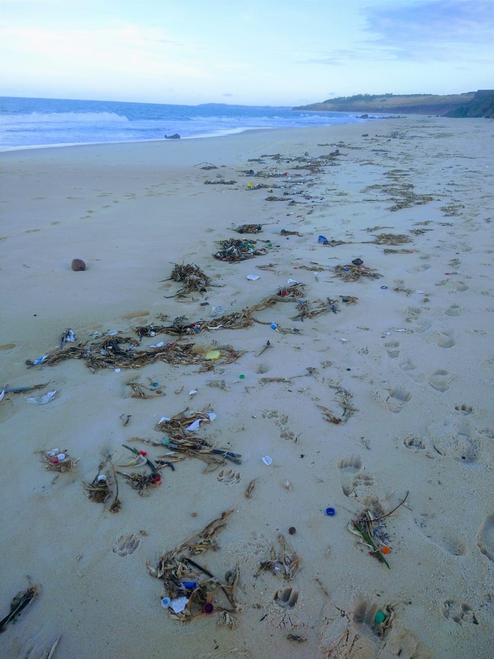 Meia tonelada de lixo é encontrada na praia da Pipa e prefeitura avalia  impacto em área de desova de tartarugas | Rio Grande do Norte | G1