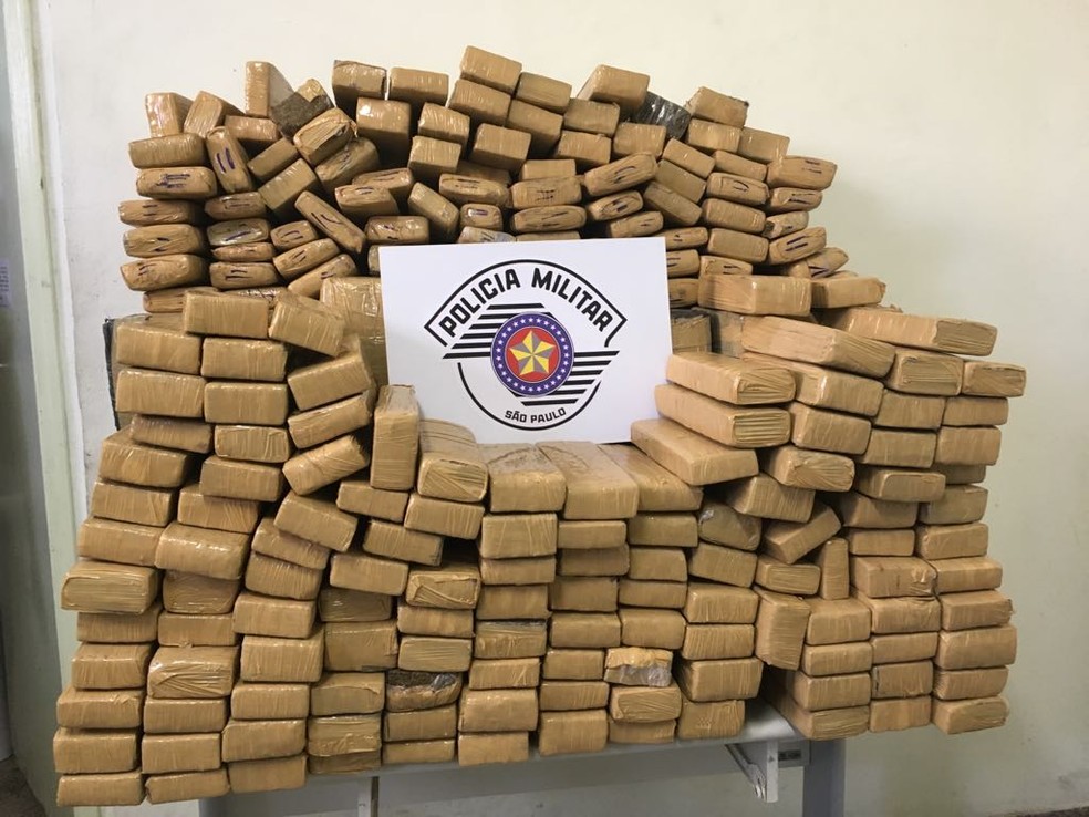 Droga foi levada à Delegacia Participativa (Foto: Stephanie Fonseca/G1)