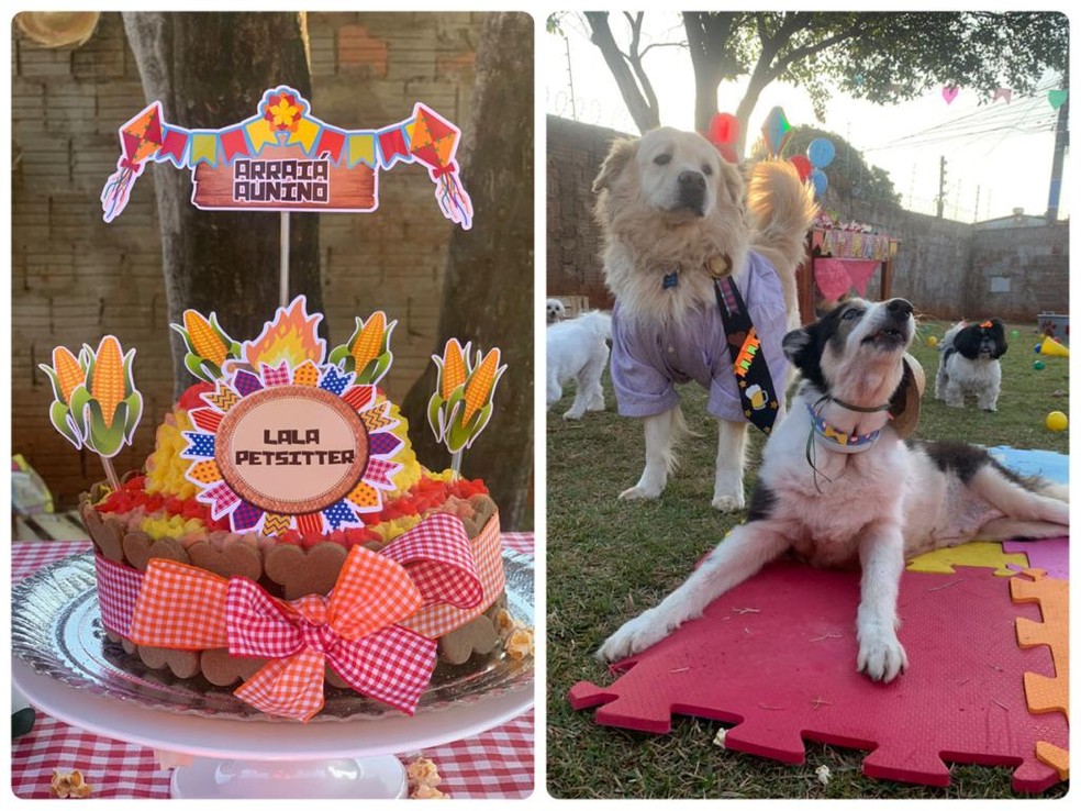 Cães usaram trajes típicos para participar do 'Aurraiá' — Foto: Reprodução/ Layse Barbosa