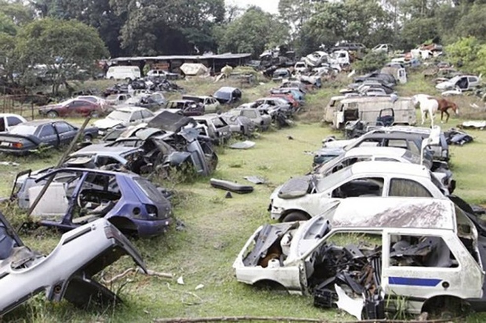 O armazenamento irregular de carros abandonados pode trazer grandes danos ao meio-ambiente — Foto: Auto Esporte