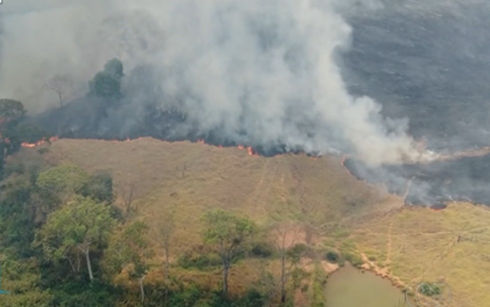 Incêndio atinge área equivalente a 80 campos de futebol e ameaça parque ecológico às margens da GO-080, em Goiânia, Goiás — Foto: Reprodução/TV Anhanguera