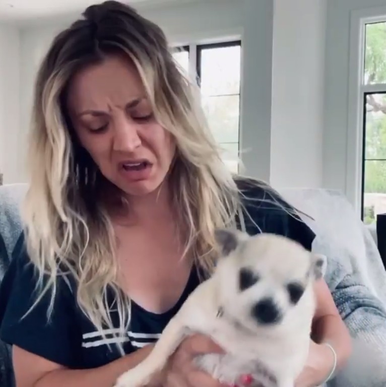 A atriz Kaley Cuoco com o cachorrinho sujo de xixi (Foto: Instagram)