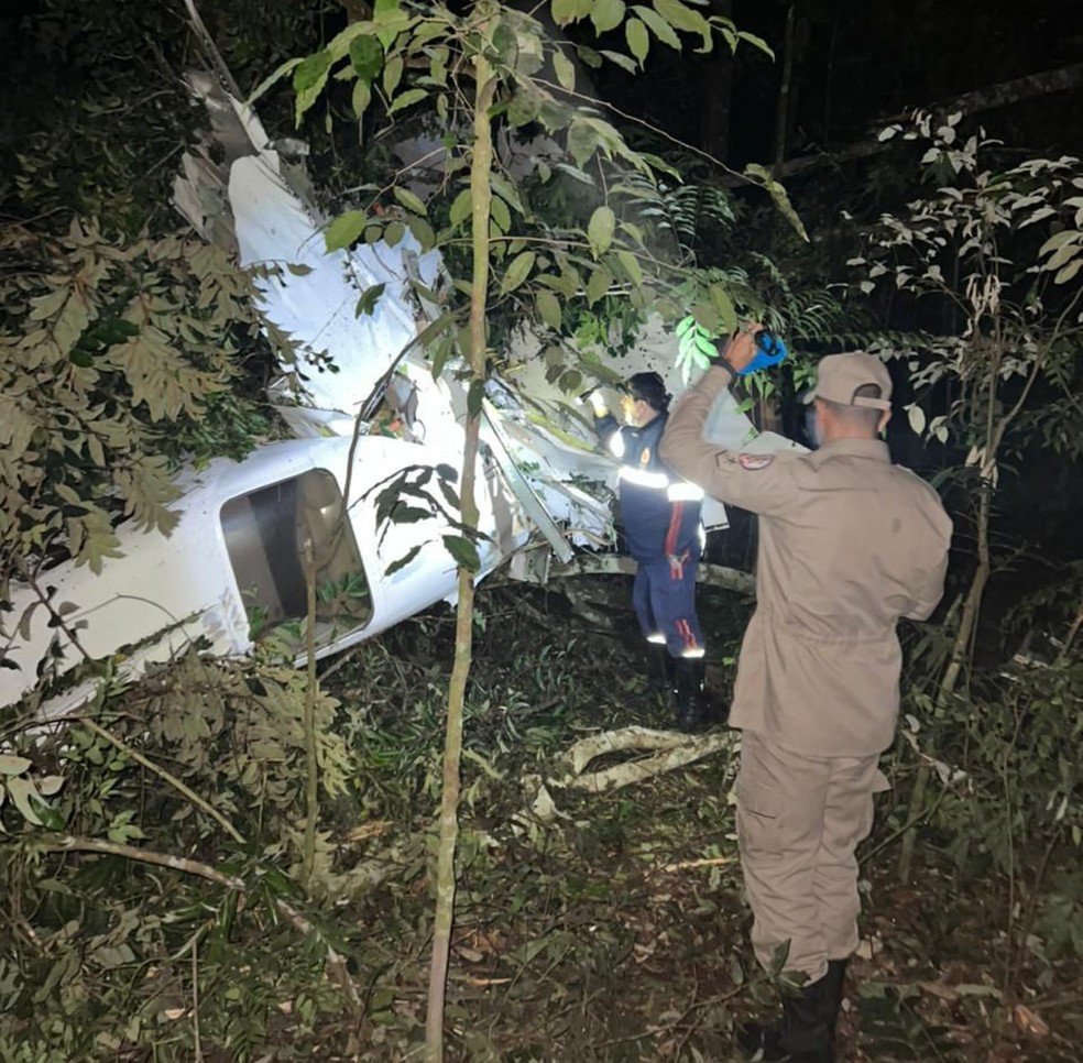 Avião caiu em área de mata no interior do estado — Foto: Divulgação