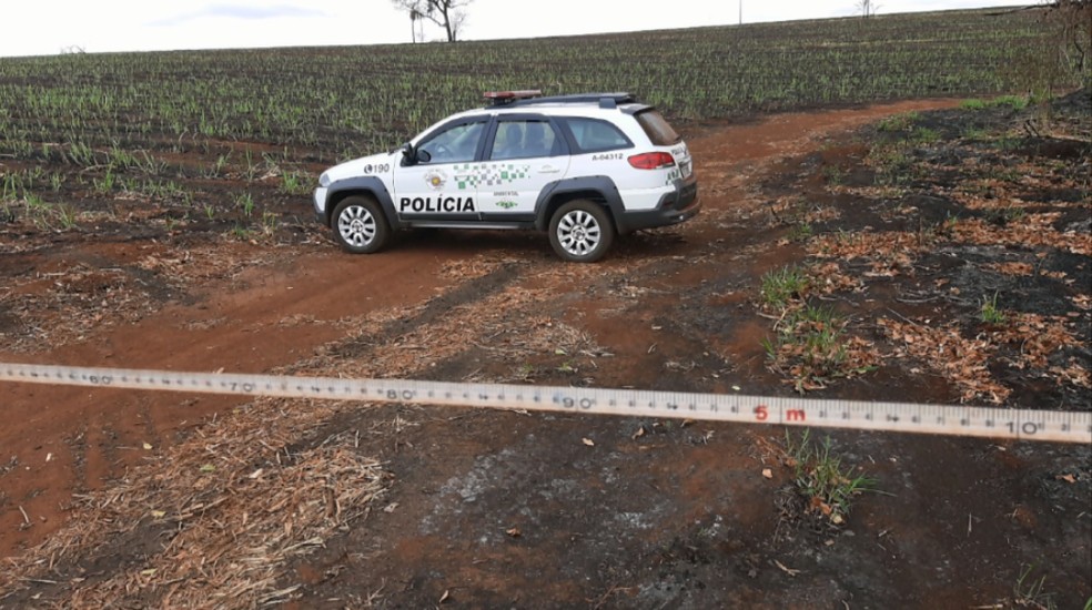 Polícia Ambiental de Franca (SP) multa usinas por queimadas irregulares — Foto: EPTV/Reprodução