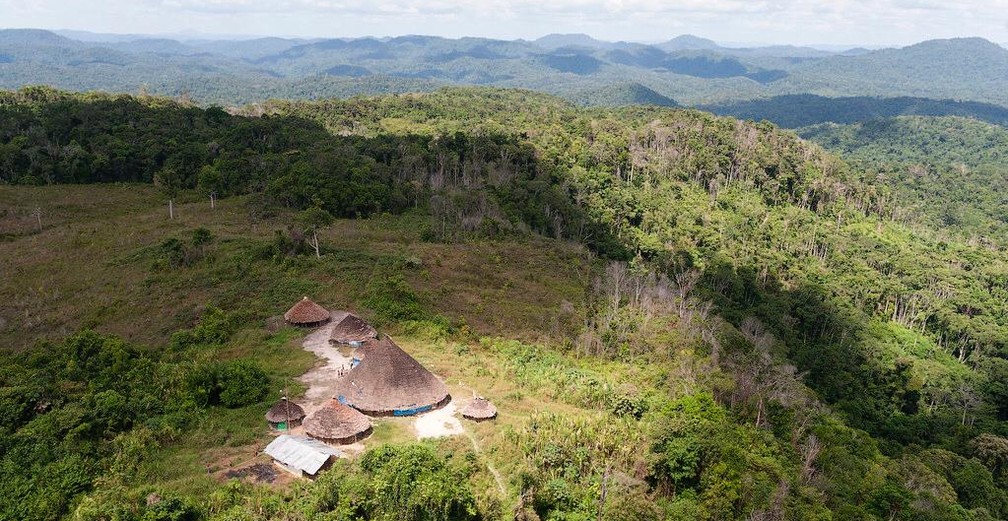 Comunidade Surucucu, na Terra Yanomami, no meio da floresta amazônica — Foto: Júnior Hekurari Yanomami/Condisi-YY