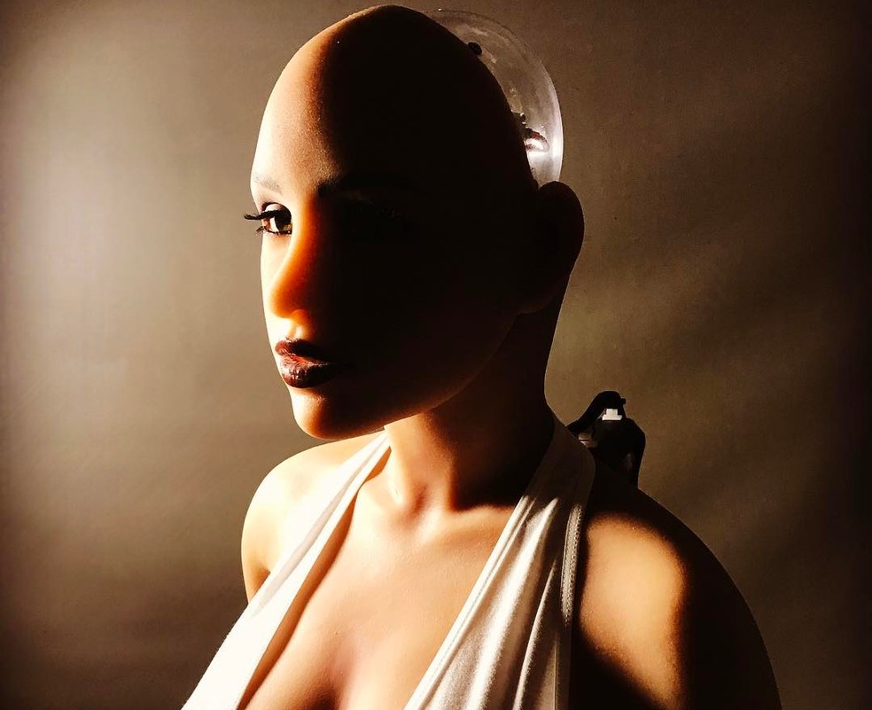 Sexbots são munidos de inteligência artificial — Foto: Divulgação/ RealBotix