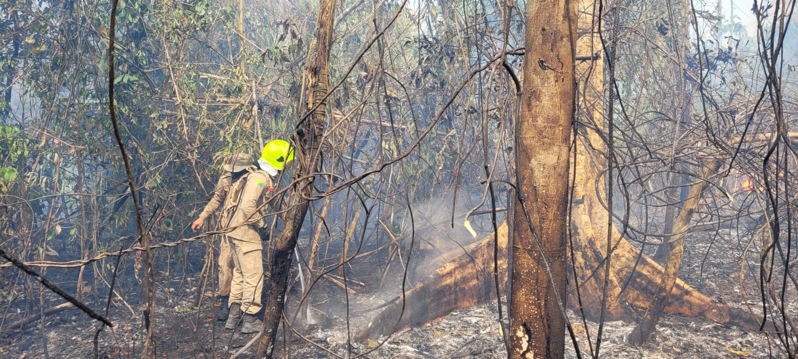 Ação civil pública pede convocação de bombeiros aprovados em concurso para ajudar no combate às queimadas no Acre