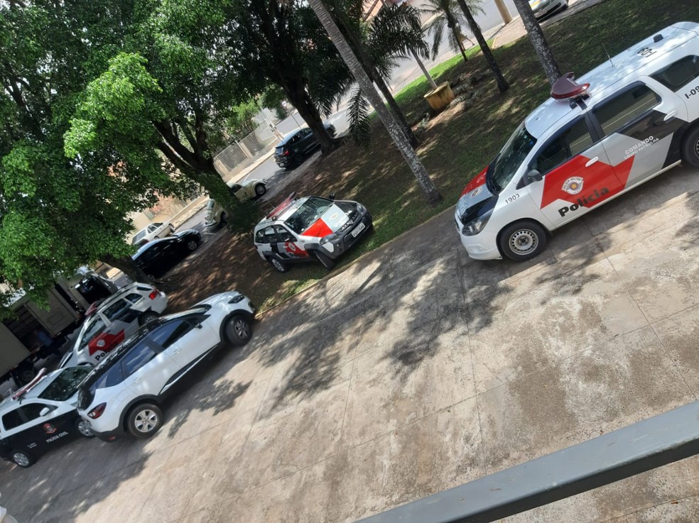 Mulher já havia registrado seis boletins de ocorrência contra o filho por violência doméstica — Foto: Polícia Civil/Divulgação