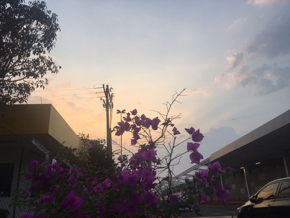 Céu com muitas nuvens nesta quinta-feira, em Campo Grande — Foto: Carla Salentim/TV Morena