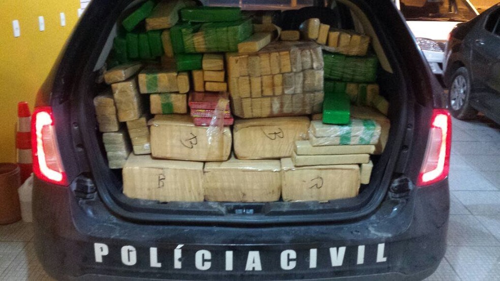 Mais de 400 quilos de maconha foram apreendidos (Foto: Deic/Divulga&ccedil;&atilde;o)