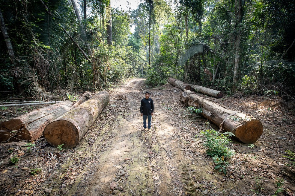 Batiti Karipuna ao lado de troncos derrubados em meio à terra indígena — Foto: Fábio Tito/G1