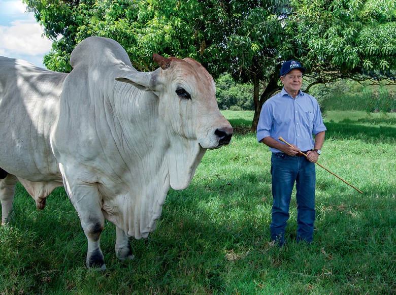 Arnaldo Borges, presidente da ABCZ, e o touro nelore Nasik, de 9 anos de idade (Foto: Rogerio Albuquerque)
