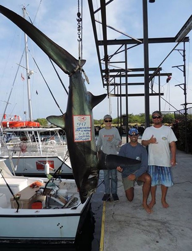 Jack Leverone, de 15 anos, fisgou um tubarão-raposa de 248 quilos no Havaí (Foto: Reprodução/Facebook/The Charter Desk at Honokohau Marina)