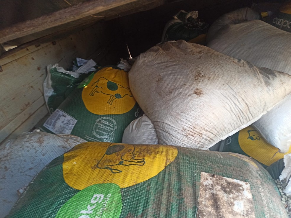 Sacas de caf furtadas em Serra do Salitre foram recuperadas — Foto: Redes Sociais