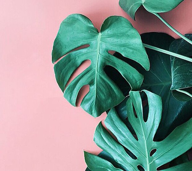 decoração-verde-e-rosa (Foto: Reprodução/Pinterest)