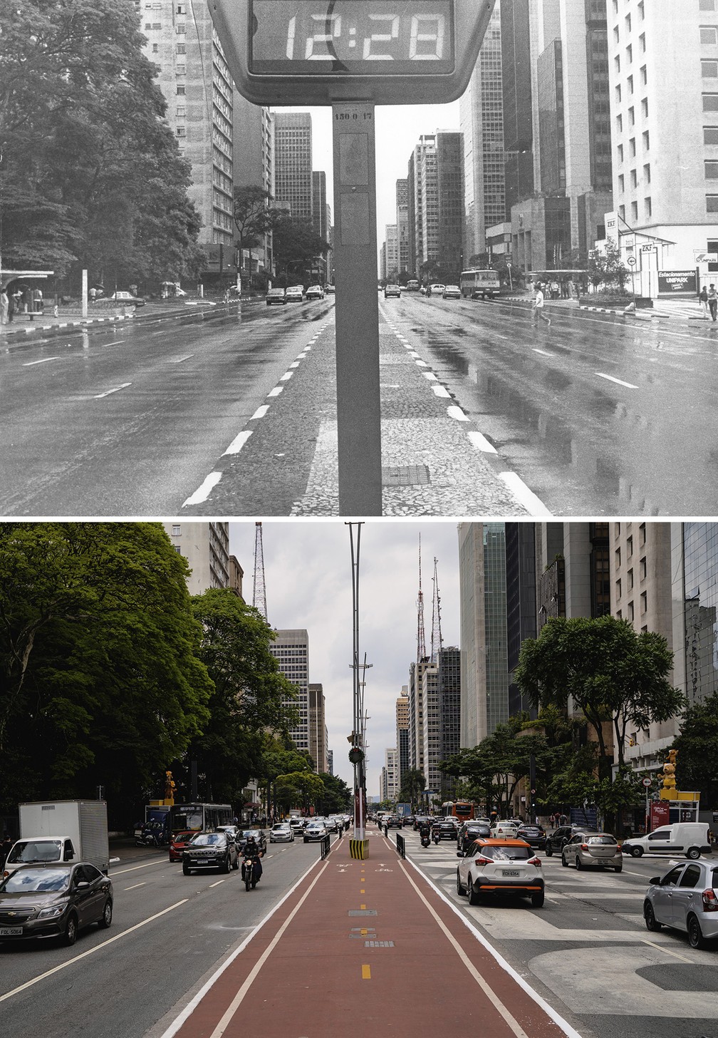 Combinação de fotos mostra faixa central da Avenida Paulista, em São Paulo, na altura do parque Trianon, em 1984 e em 2021  — Foto: Reginaldo Manente/Estadão Conteúdo/Arquivo; Marcelo Brandt/g1