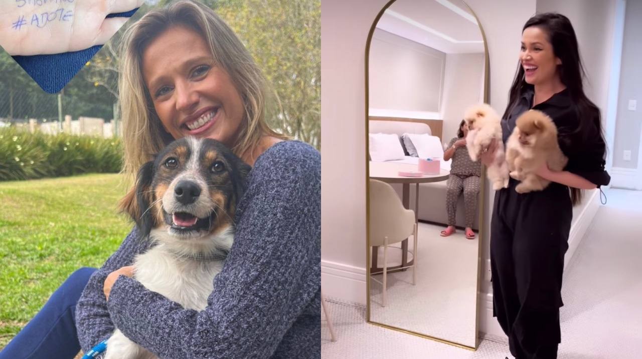 Luisa Mell comenta sobre vídeo de Juliette apresentando cachorrinhos de estimação (Foto: Reprodução / Instagram)