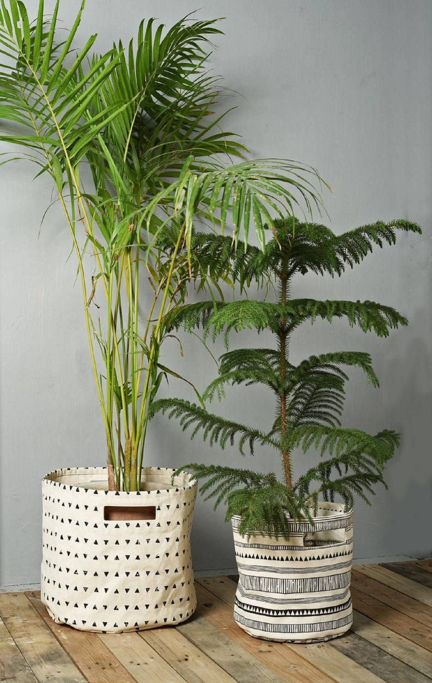 Vasos e cachepôs com formatos diferentes: veja ideias para se inspirar (Foto: Reprodução/ Pinterest)