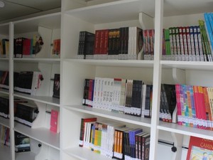 Acervo conta com mais de dois mil livros de diversos gêneros  (Foto: Assessoria/Secult)
