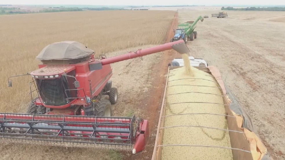 Colheita de soja em Goiás — Foto: Reprodução/TV Anhanguera