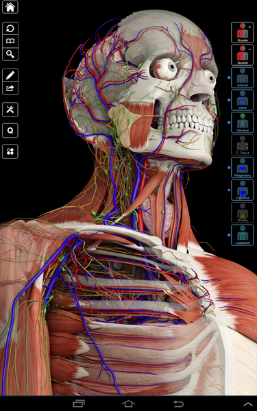 essential anatomy 3 windows 7