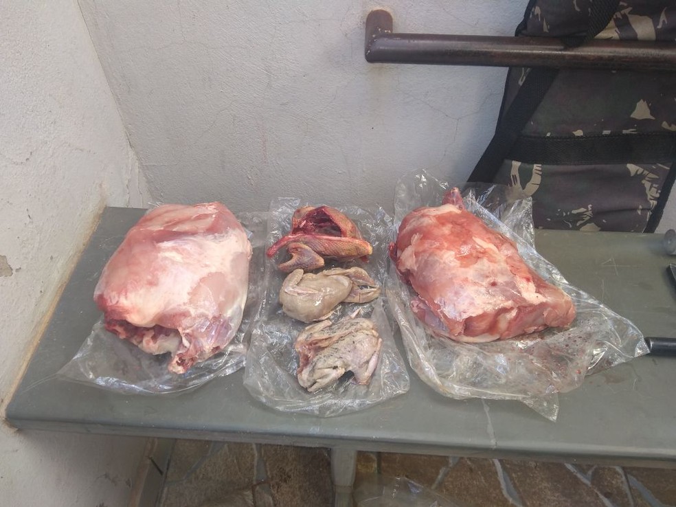 Suspeito guardava em casa carne de animais abatidos (Foto: Polícia Militar/Divulgação)