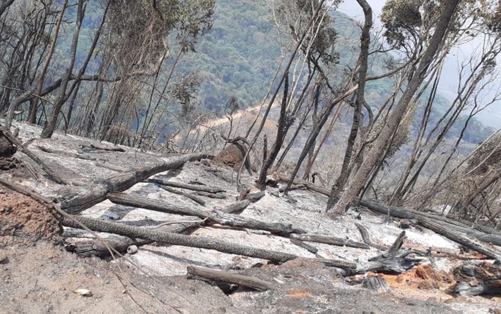 Incêndio de grandes proporções atinge a reserva florestal de Nova Baden, em Lambari (MG) — Foto: Reprodução/EPTV