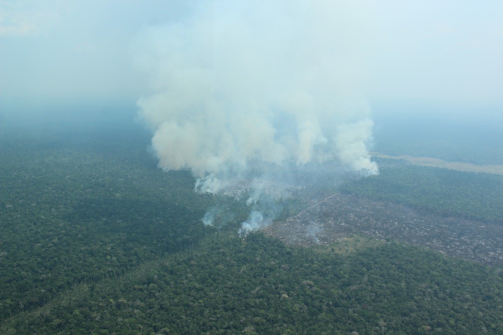 Queimada atinge área de floresta no sul do Amazonas — Foto: Jonatas Boni/G1