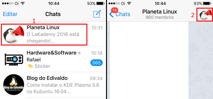 Acessando um canal do Telegram e suas configurações no iOS (Foto: Reprodução/Edivaldo Brito)
