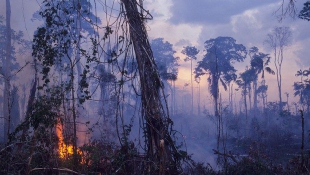Amazônia, floresta, amazônia em chamas, queimada, floresta amazônica (Foto: Getty Images)