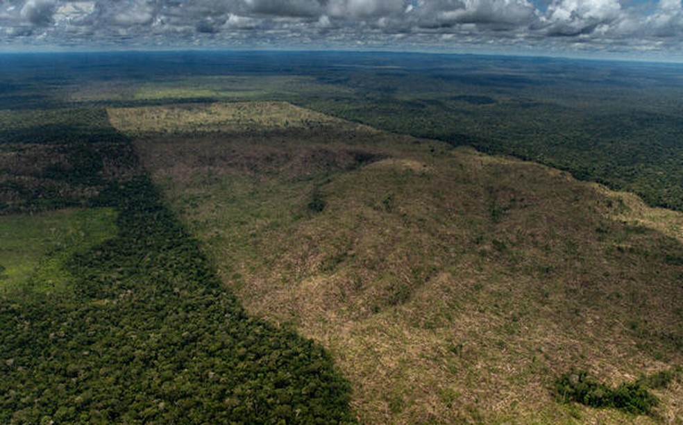Mato Grosso  o terceiro estado do pas que mais desmata a Amaznia  Foto: Reproduo/Greenpeace