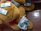 Operação da PF apreende urso com US$ 300 mil em Balneário Camboriú