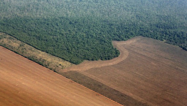 Vista aérea de terra sendo preparada para plantação de soja em Mato Grosso - agricultura - amazônia - meio ambiente (Foto: Paulo Whitaker/REuters)