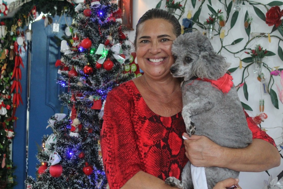 Aposentava leva cerca de um mês para montar toda a decoração em casa — Foto: Juliana Steil/G1