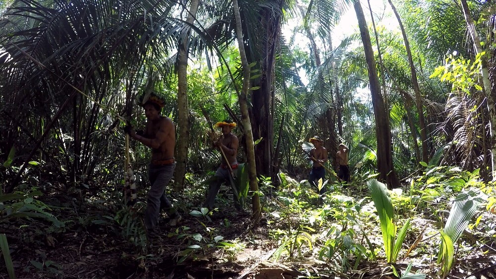 Rondônia acumula 1.135 casos de Covid-19 entre indígenas e doença já atinge 15 povos thumbnail