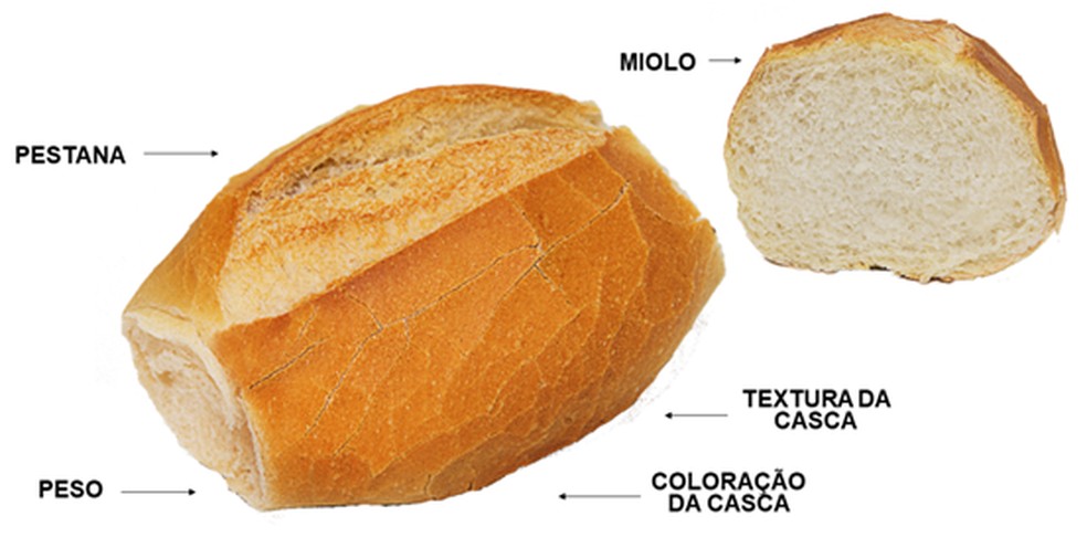Sabia Que Existem Criterios Para Fazer Um Pao Frances De Qualidade Meu Pao Frances Gshow Se você gosta, você pode transferir retratos no formato do ícone ou diretamente no formato da imagem do png. sabia que existem criterios para fazer
