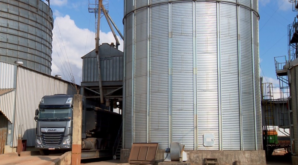 Com soja nos silos, falta espaço para estocar milho e armazéns têm dificuldade no Sul de MG