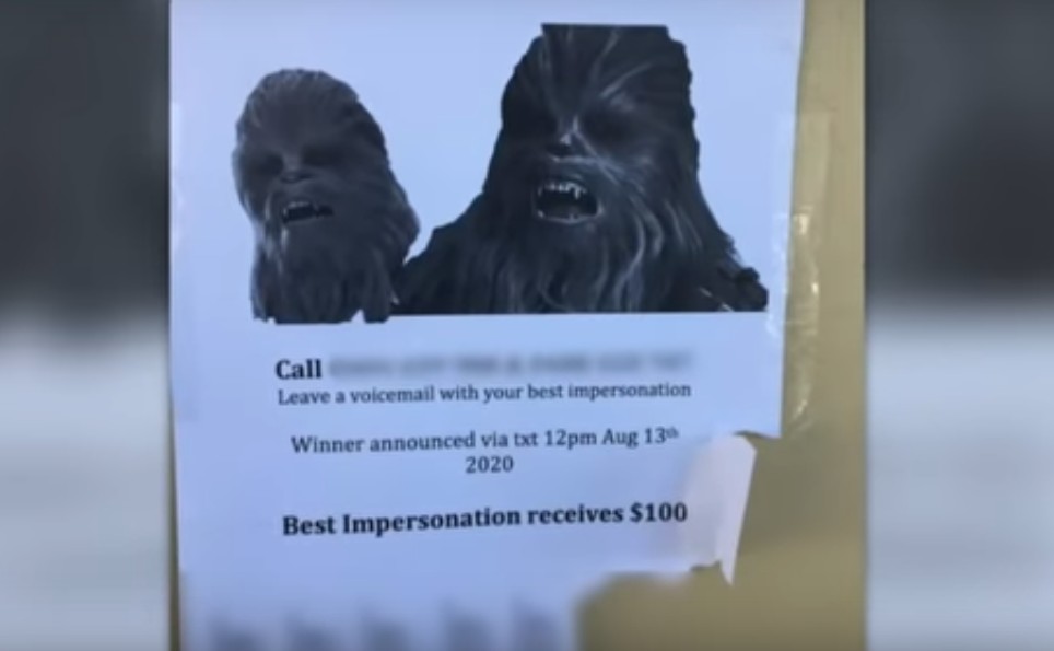 O cartaz anunciando o falso concurso de imitação de Chewbacca com o telefone da mulher e a promessa de 100 dólares australianos de prêmio (Foto: Reprodução)