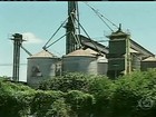 Produtores de MG denunciam desvio de toneladas de milho dos armazéns