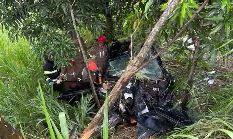 Carro em ribanceira após acidente que matou médica em Moreno, no Grande Recife — Foto: Rodrigo Lobo/TV Globo