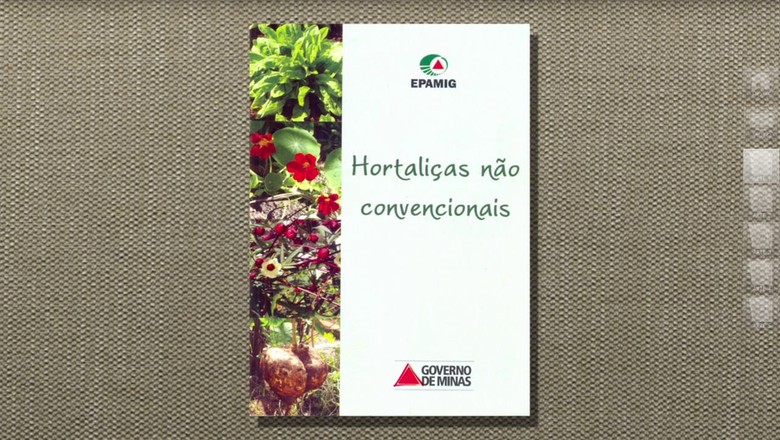 hortaliça-taioba-tv (Foto: Reprodução/TV Globo )