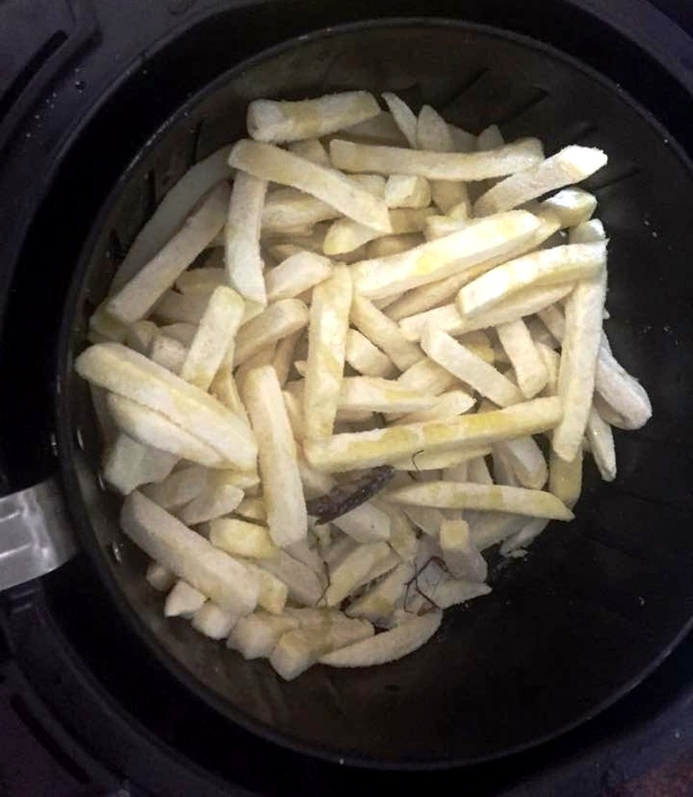 Barata foi levada à fritadeira junto com a batata frita. (Foto: Arquivo Pessoal)