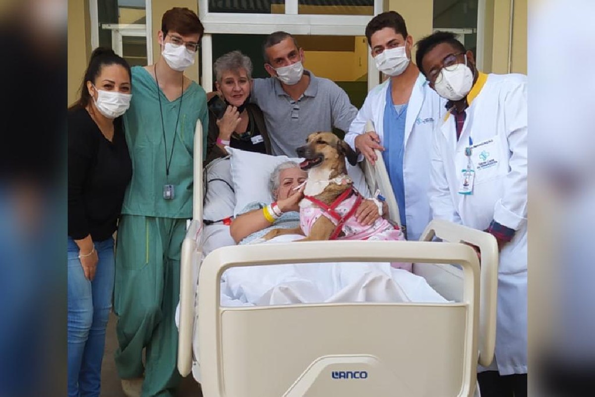 Idosa internada há quase um mês reencontra cadelinha em hospital no interior de SP: 'Muito apegadas', diz filho