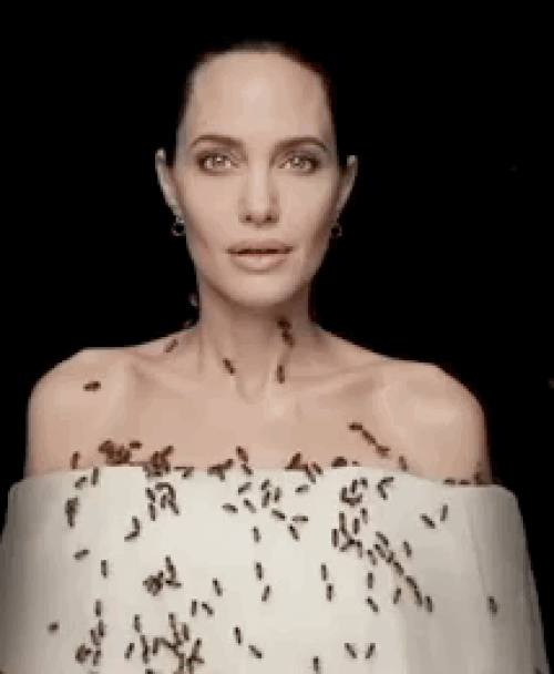 Angelina Jolie coberta de abelhas em campanha ambiental (Foto: Reprodução/Instagram)