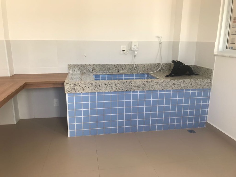 Banho e tosa são realizados no local, Teka à direita (Foto: Cássia Ramos da Silva/ Arquivo Pessoal)