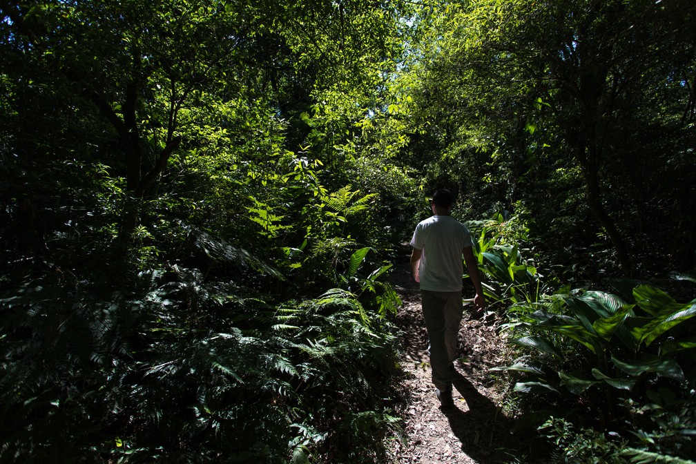 Guia turístico Lucas Duarte apresenta a trilha em meio à Mata Atlântica até a Cachoeira Poço das Virgens, com águas com Rio Monos, na Zona Sul de São Paulo (Foto: Marcelo Brandt/G1)